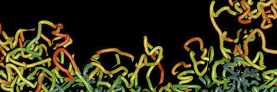 Defining the relationship between stem and progenitor cells in the intestinal epithelium