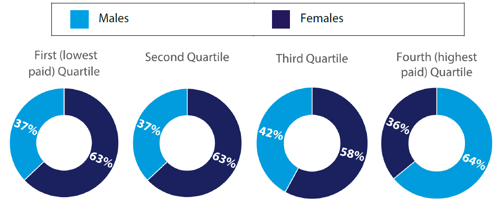 Gender representation in pay quartiles for Institute staff