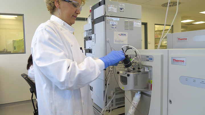 Andrea preparing lipidomics samples