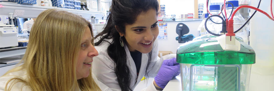 Promising young researcher joins the Babraham Institute for a day