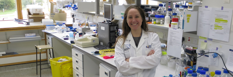 Michelle Linterman becomes an EMBO Young Investigator