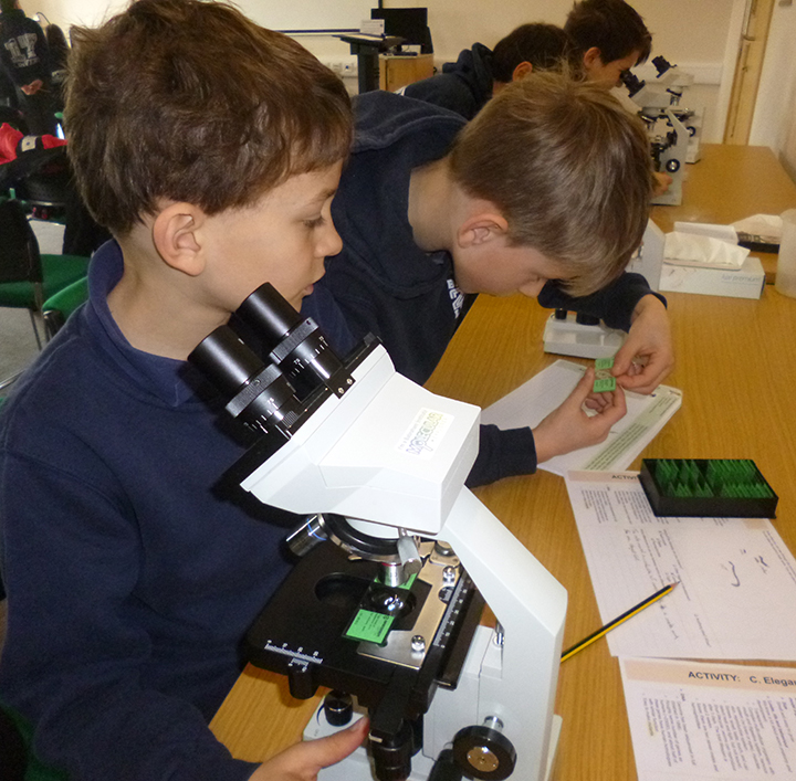 Babraham Primary school microscopy