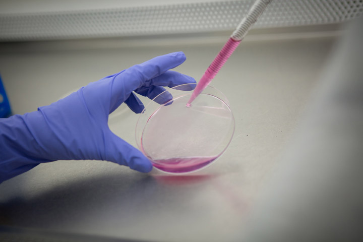 Babraham Institute Molecular Explorers