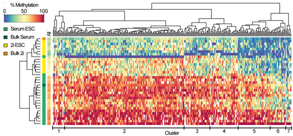 Researchers develop new, powerful single-cell technique to study environmental effects on DNA