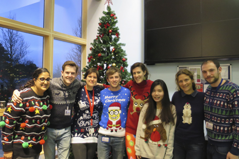 Christmas jumpers