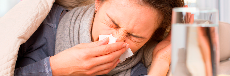 Studying cellular fats reveals how to protect cells from the common cold