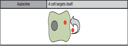 Autocrine signalling